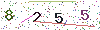 web code