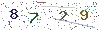 web code