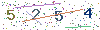 web code