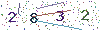 web code