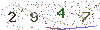 web code