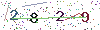web code