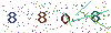 web code