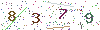 web code