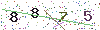 web code