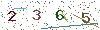 web code