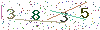 web code