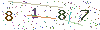 web code