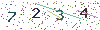 web code