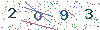 web code