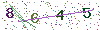 web code
