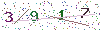 web code