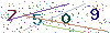 web code