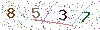 web code