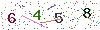 web code