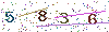web code