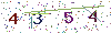 web code