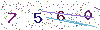 web code