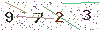web code