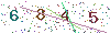 web code