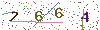 web code