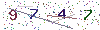 web code