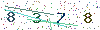 web code