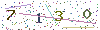 web code