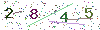 web code