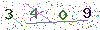 web code