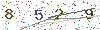 web code