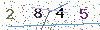 web code