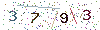 web code
