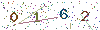web code