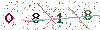 web code