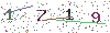 web code