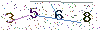 web code