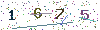 web code
