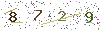 web code