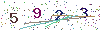 web code
