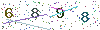 web code