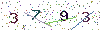 web code