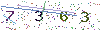 web code