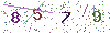 web code
