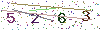 web code