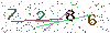 web code
