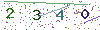 web code