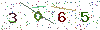 web code