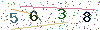 web code