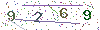 web code